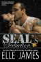 [Take No Prisoners 06] • SEAL's Seduction